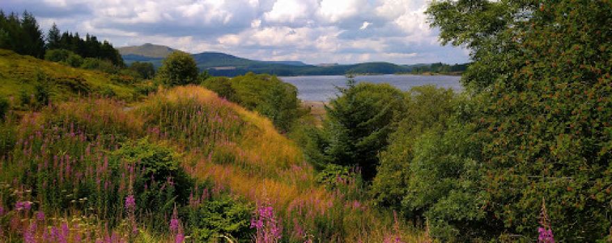 Carron Valley Mountain Bike Trails