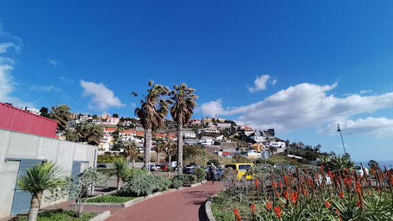 View Point