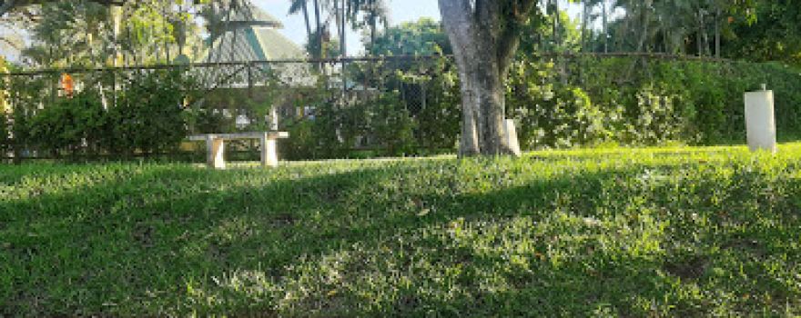 Ciudad Versalles Park