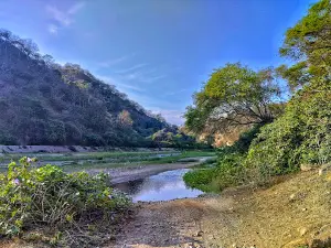 Cabuyal
