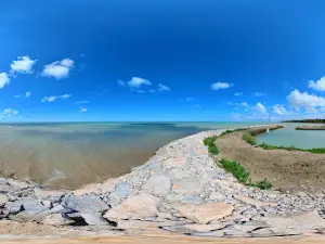 Point Clark Beach