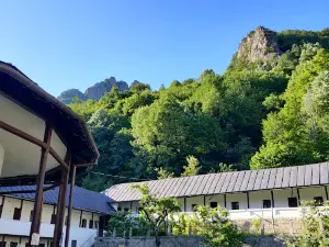 Stanisoara Monastery