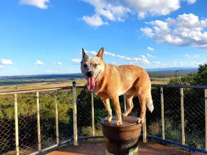 Mount Wooroolin Lookout