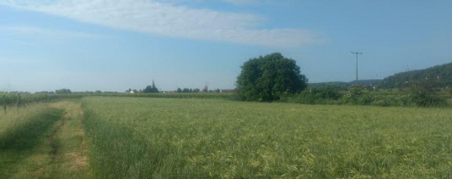 Kreisjugendzeltplatz