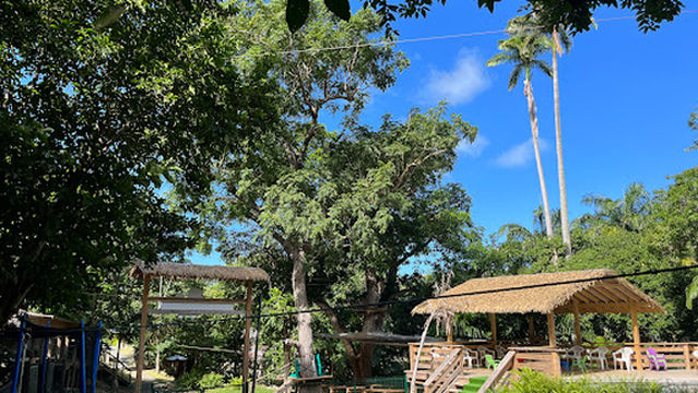 ピク・パラディ