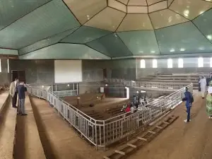Hope Baptist Church Ndamukong