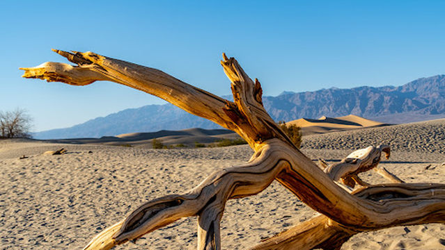 Death Valley National Park Information Area