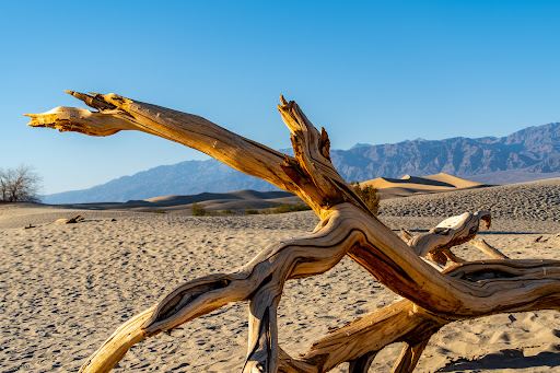 Death Valley National Park Information Area