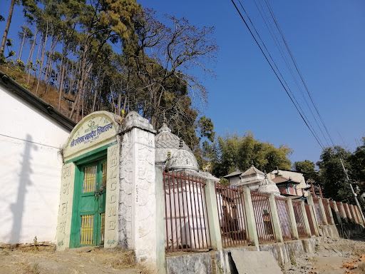 상 펠릭스 도 싱구 보지푸르 항공권