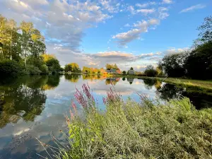 Camping Plothener ponds
