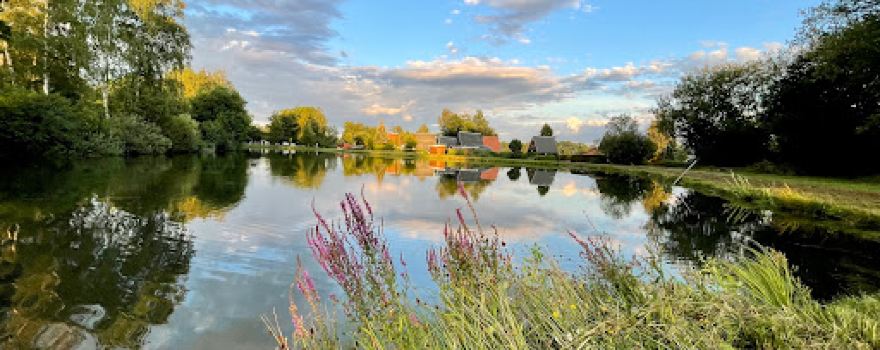 Camping Plothener ponds