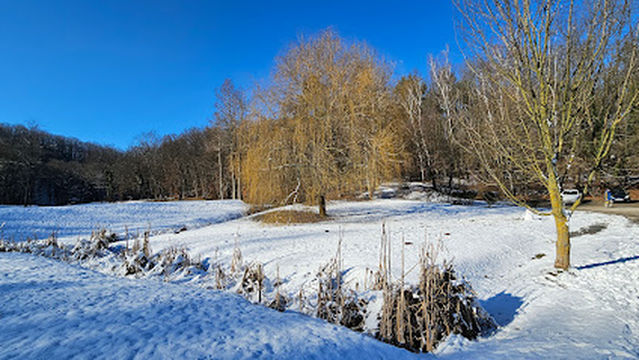 Gyertyánosi Parkerdő