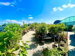 D & M Garden Centre and Restaurant