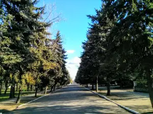 Gulyaypolskogo District Museum