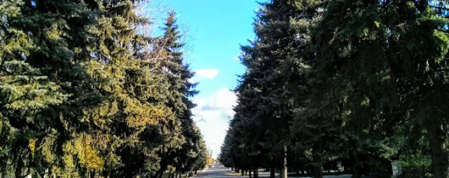 Гуляйпольский краеведческий музей