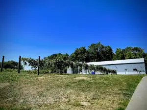 Hummingbird Vineyard & Winery