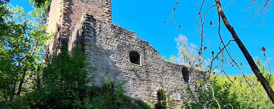 Castle Hagueneck