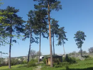 Лычаковский Парк