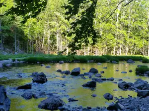 Economy River Wilderness Area