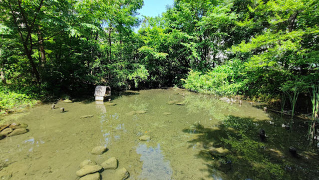 Gatharia Bio Garden Fujikura Sennen-no-mori
