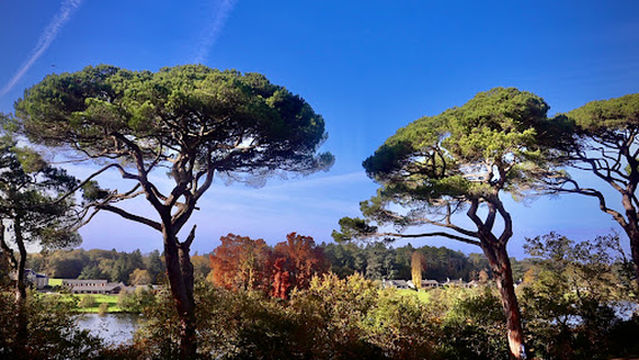 Parc de la Chantrerie