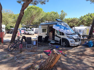 Mare e Pineta Camping