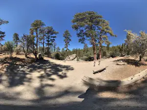Woodland Trail 1E23