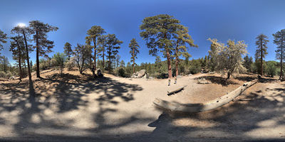 Woodland Trail 1E23