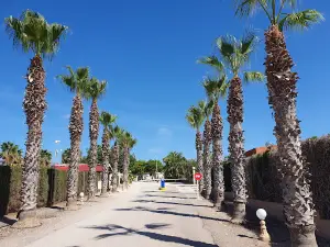 Camping Los Delfines
