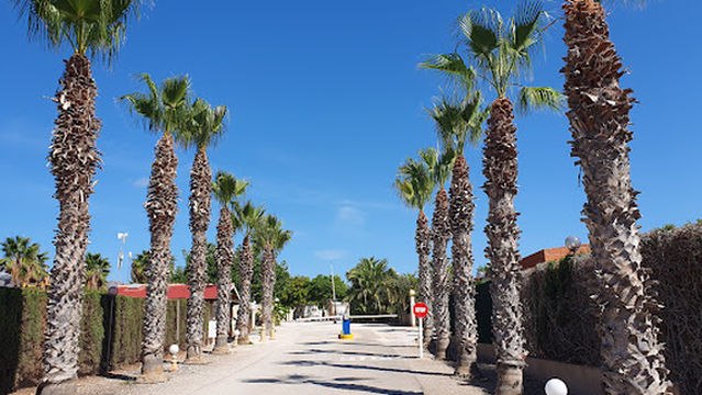 Camping Los Delfines