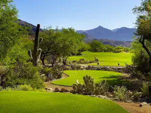 Loews Ventana Canyon Resort