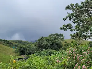 Vagamon Meadows