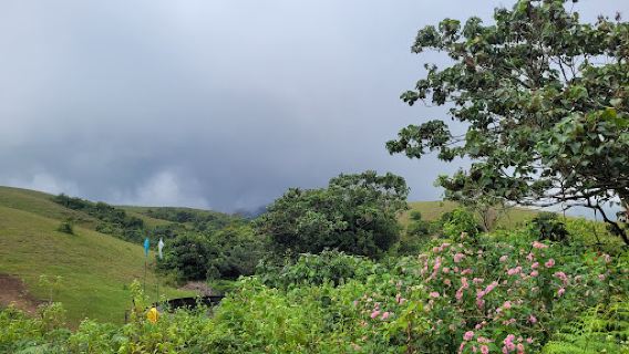 Vagamon Meadows