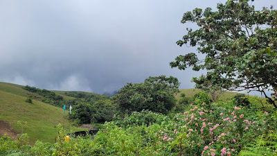 Vagamon Meadows