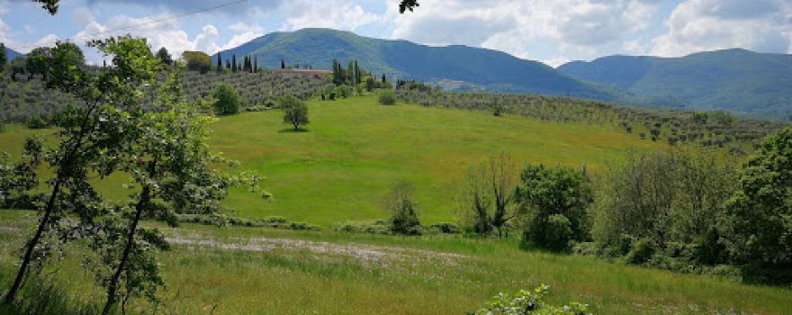 La Stalla