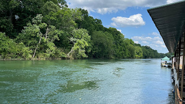Beau's Marina and Cabin rentals at Lobo Landing