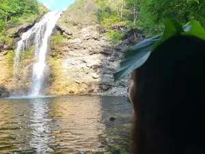 Hinckston RD Waterfall