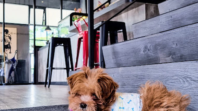 VIDA Muay Thai & Coffee