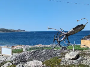 Herring Cove Art Gallery and Studio