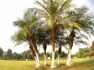 Utkalamani Gopabandhu Park