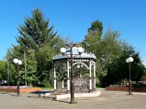 Zelenaya Alleya