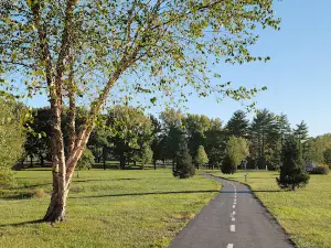 Wock Family Lake & Walking Trail