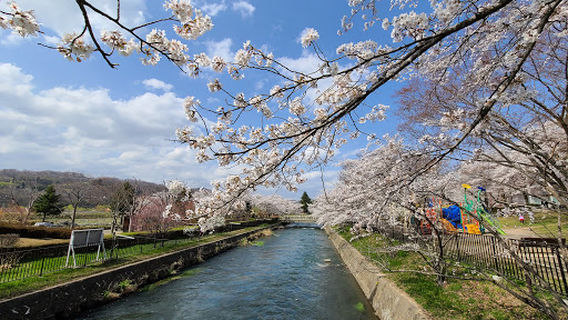 Ryumonfuchi Koen Ayame Park