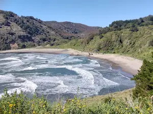Cuevas Del Toro
