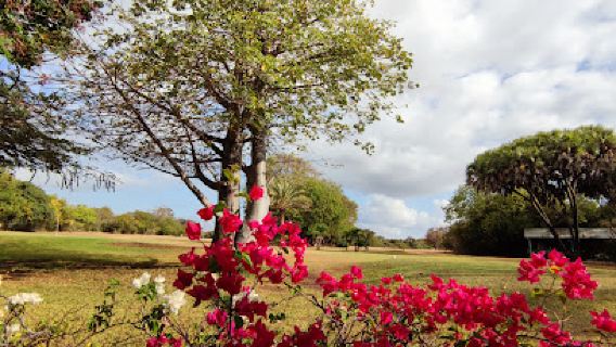 Malindi Golf and Country Club