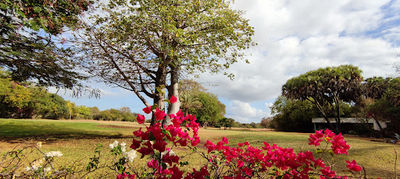 Malindi Golf and Country Club