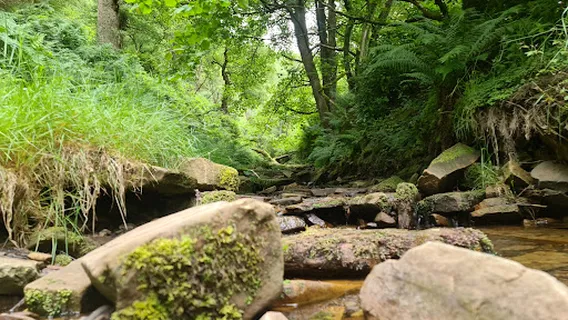 Ruin of Errwood Hall