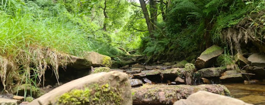 Ruin of Errwood Hall