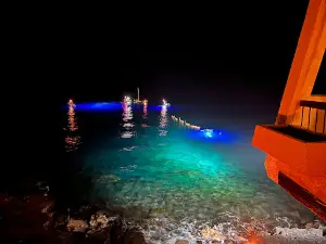 Manta Ray Night Snorkel