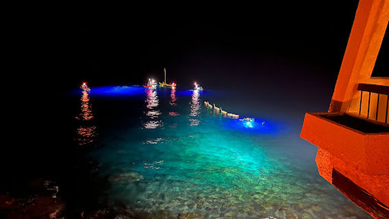 Manta Ray Night Snorkel